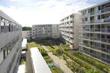 �����{��