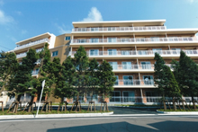 �����{��