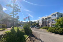 �����{��